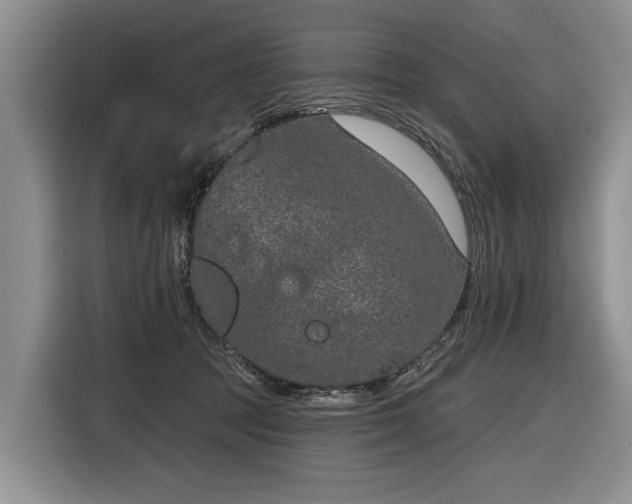 X0000116630369200912181330