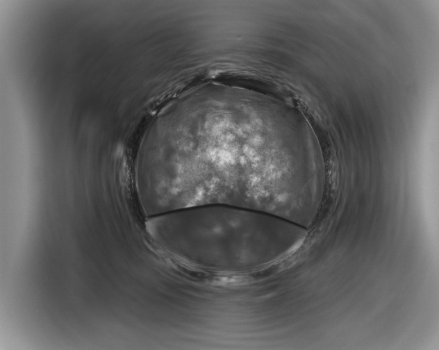 X0000116630371200912181330