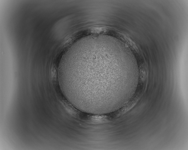 X0000116630375200912181330