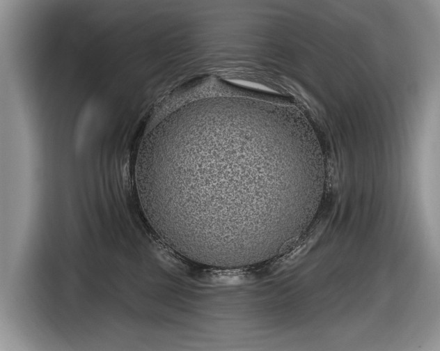 X0000116630377200912181330