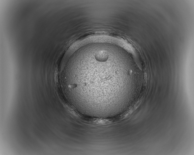 X0000116630379200912181330