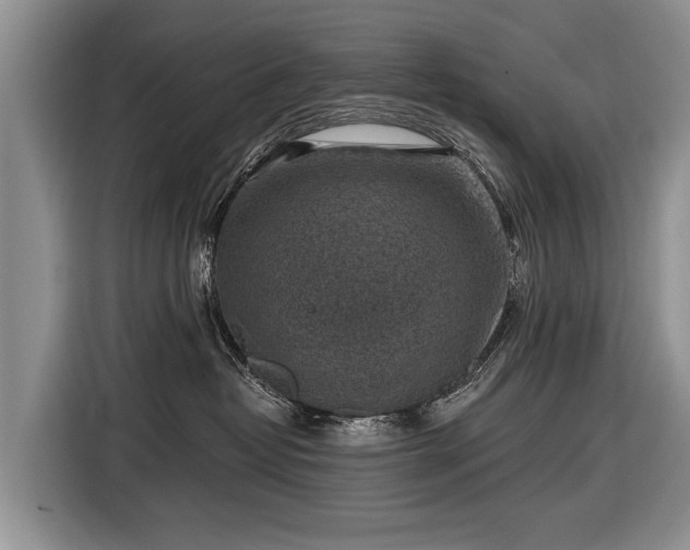 X0000116630382200912181330