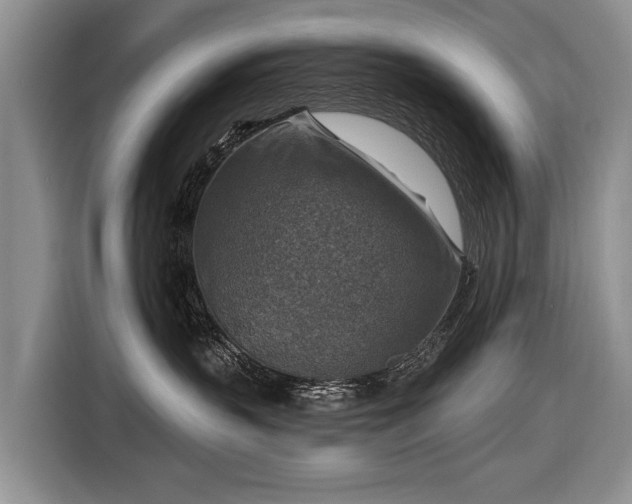 X0000116630383200912181330