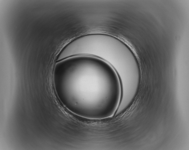 X0000116630385200912181329