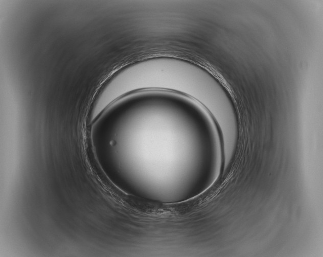 X0000116630386200912181329