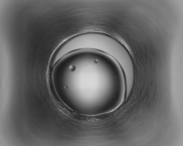 X0000116630387200912181329