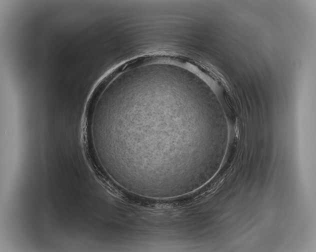 X0000116630388200912181329