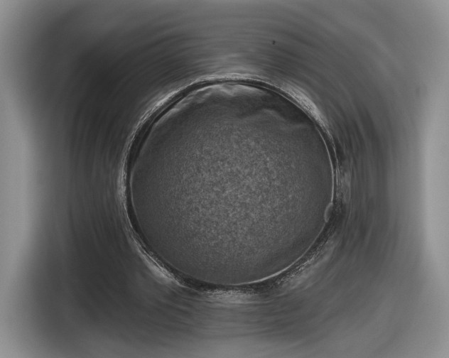 X0000116630389200912181329