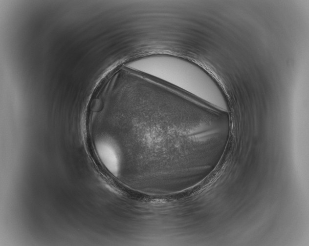 X0000116630390200912181329