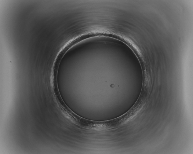 X0000116630391200912181329