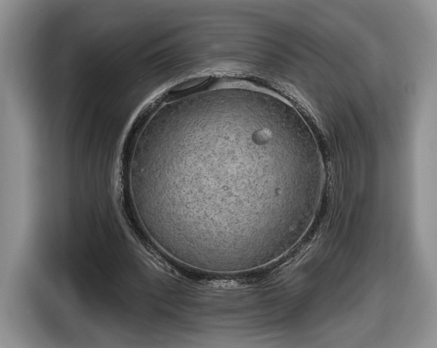 X0000116630392200912181329