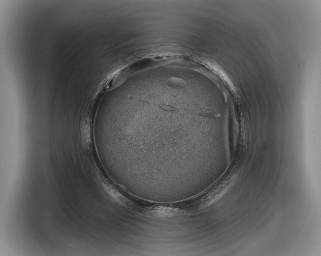 X0000116630393200912181329