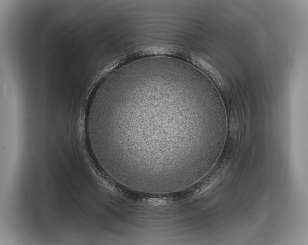 X0000116630394200912181329