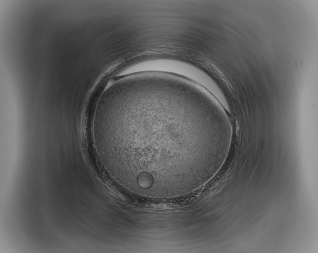 X0000116630396200912181329