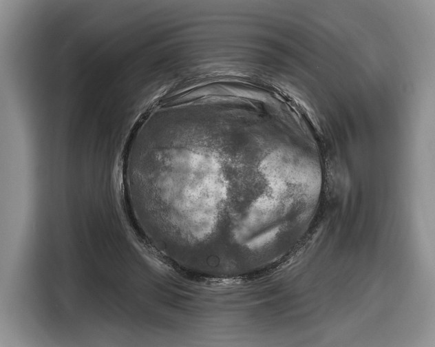 X0000116630398200912181329