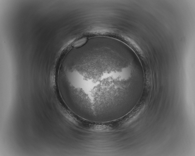 X0000116630399200912181329