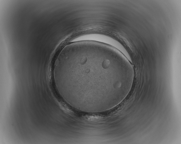 X0000116630400200912181329