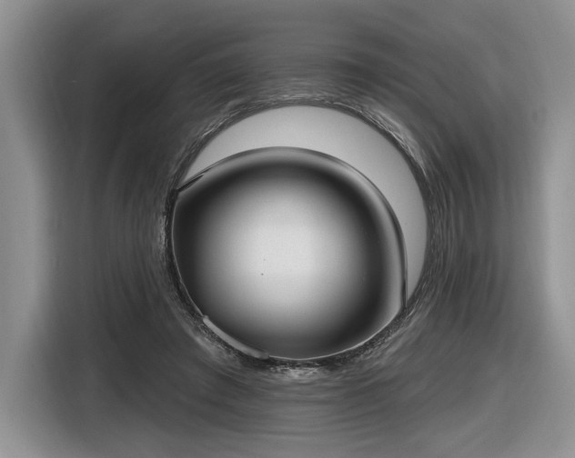 X0000116630401200912181329