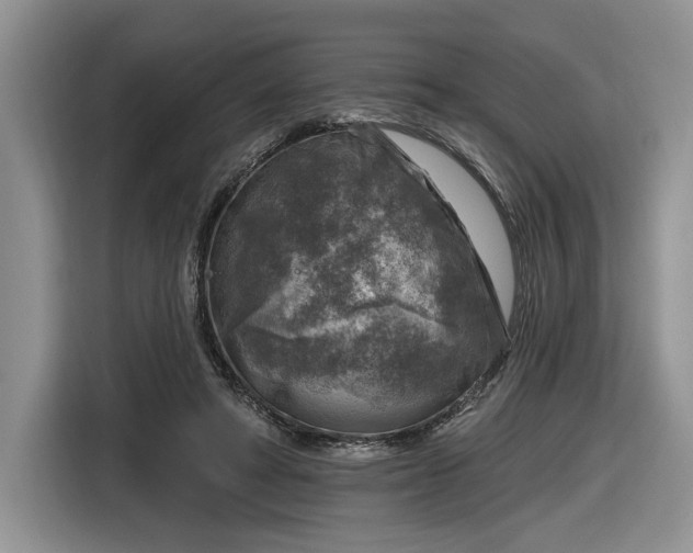 X0000116630402200912181329