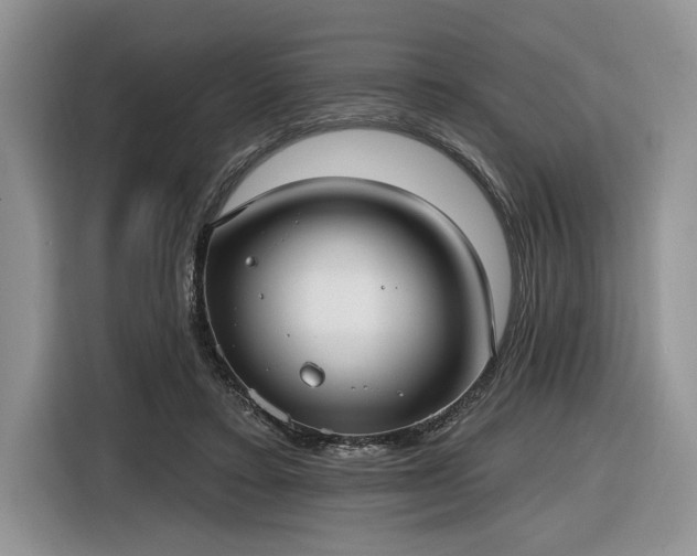 X0000116630403200912181329