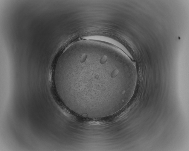 X0000116630404200912181329