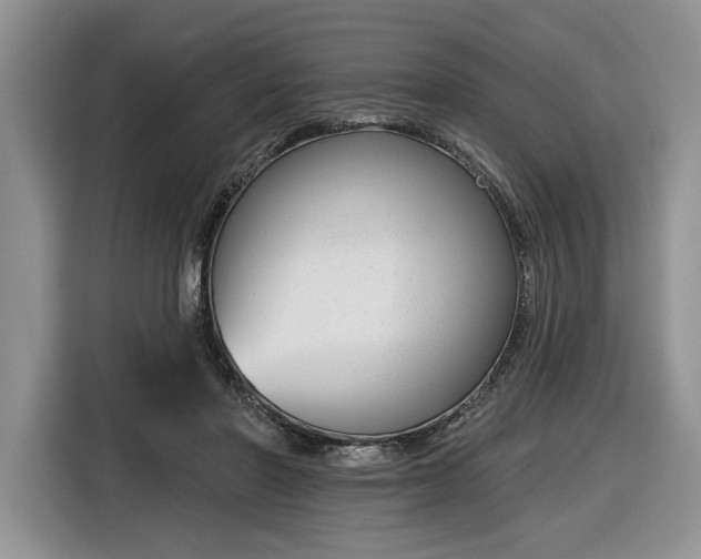 X0000116630406200912181329