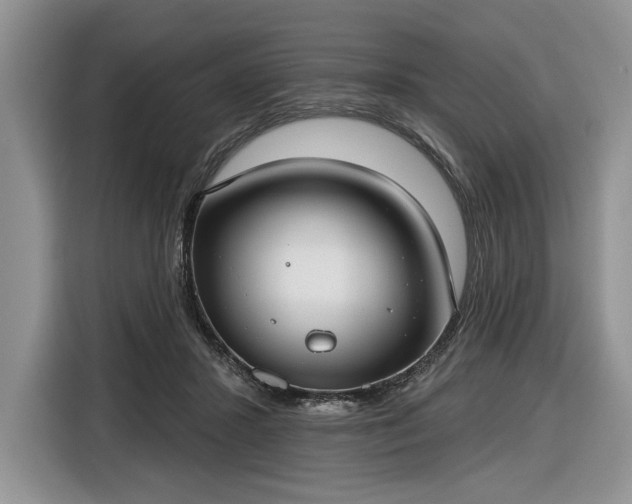 X0000116630407200912181329