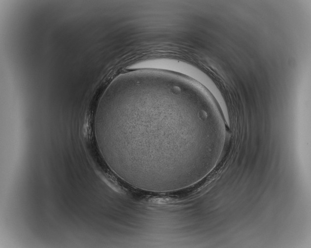 X0000116630408200912181329