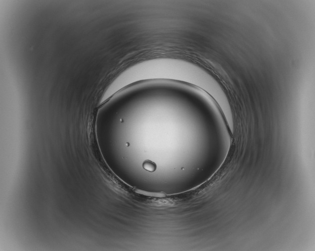 X0000116630409200912181329