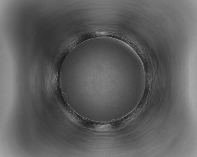 X0000116630410200912181329