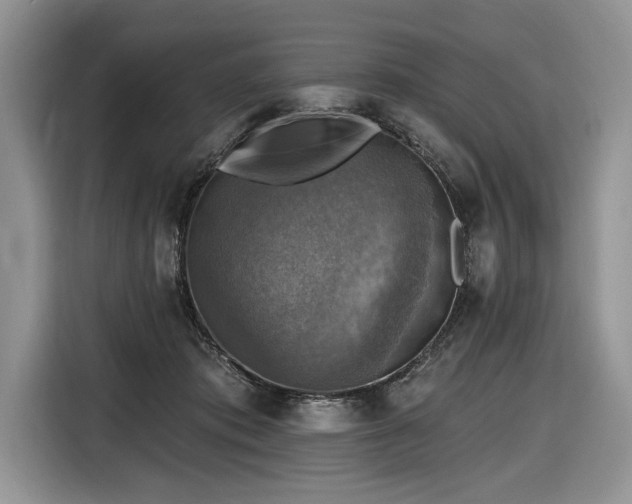 X0000116630413200912181329