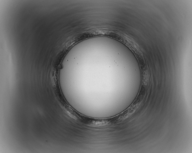 X0000116630414200912181329