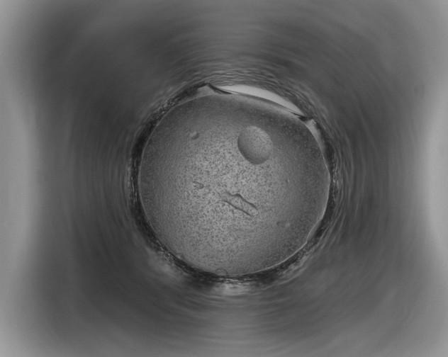 X0000116630416200912181329