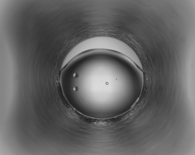 X0000116630419200912181329