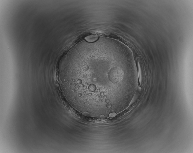 X0000116630420200912181329