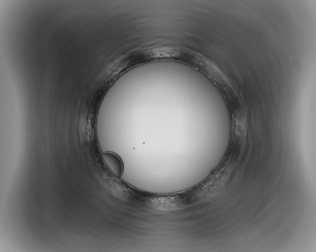 X0000116630422200912181329