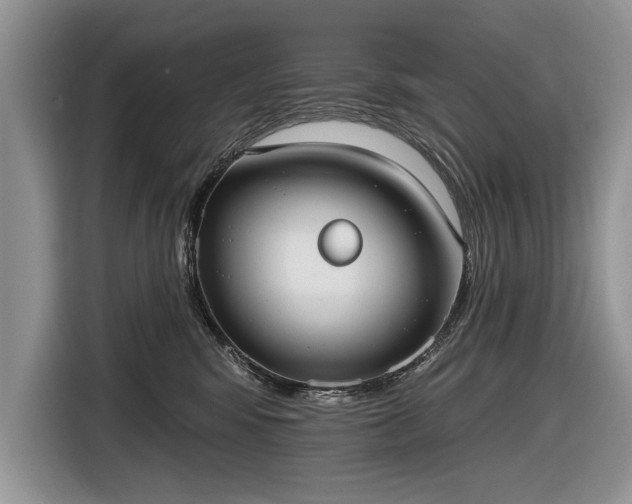 X0000116630424200912181329