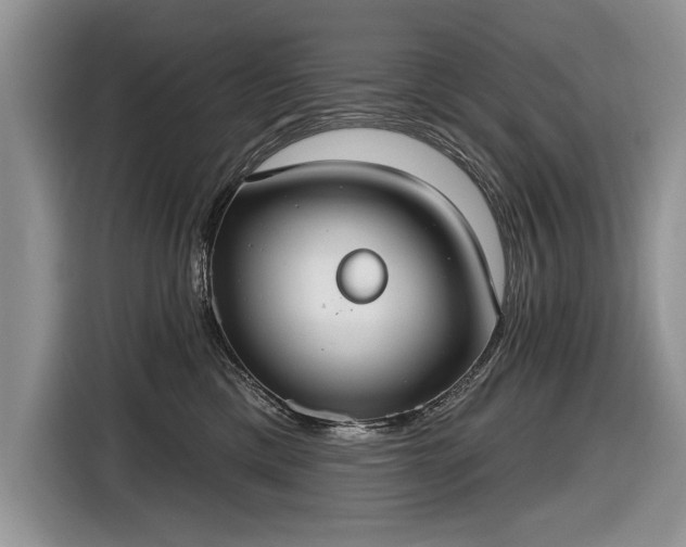 X0000116630425200912181329