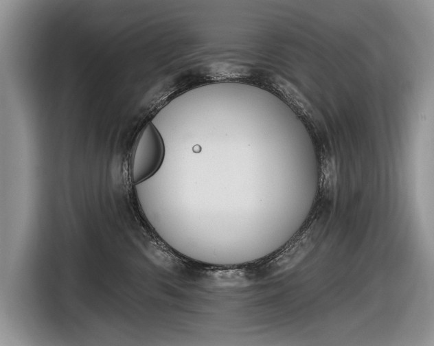 X0000116630426200912181329