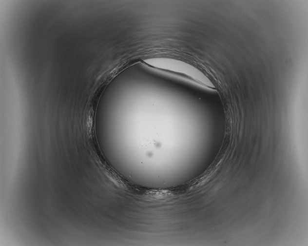 X0000116630427200912181329