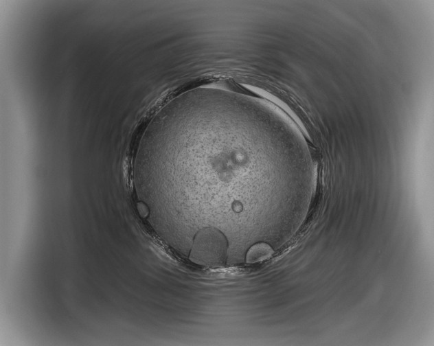 X0000116630428200912181329