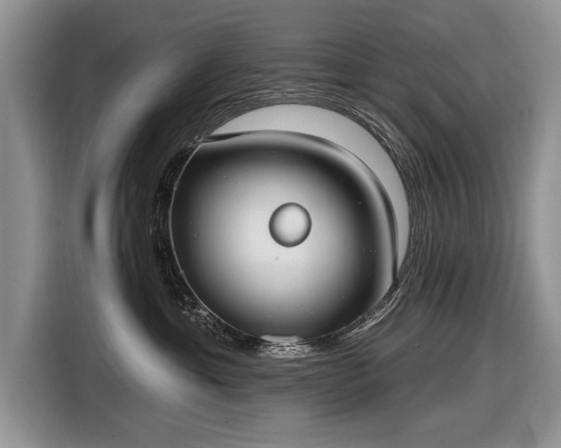 X0000116630429200912181329