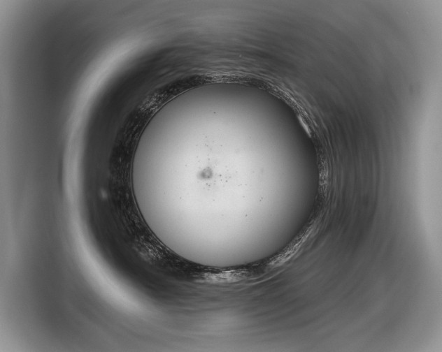 X0000116630430200912181329