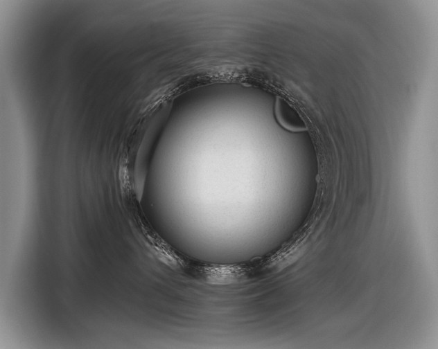 X0000116630432200912181328