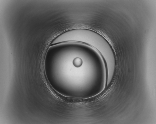 X0000116630433200912181328