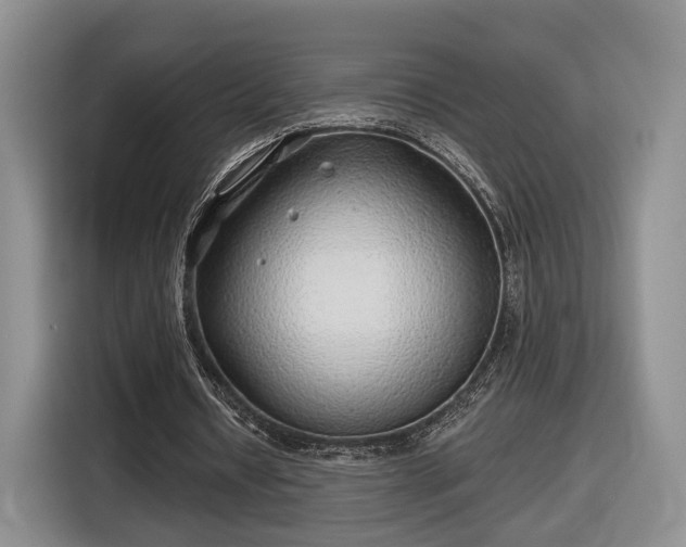 X0000116630434200912181328