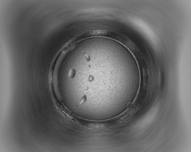 X0000116630435200912181328