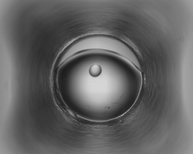 X0000116630436200912181328