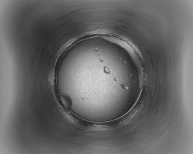 X0000116630437200912181328