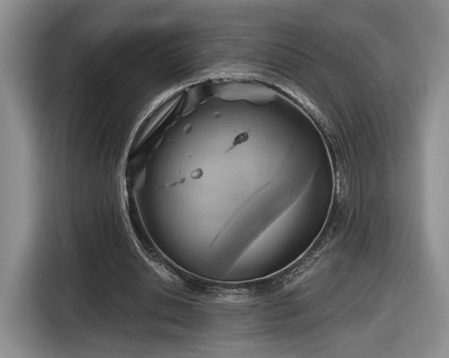 X0000116630438200912181328